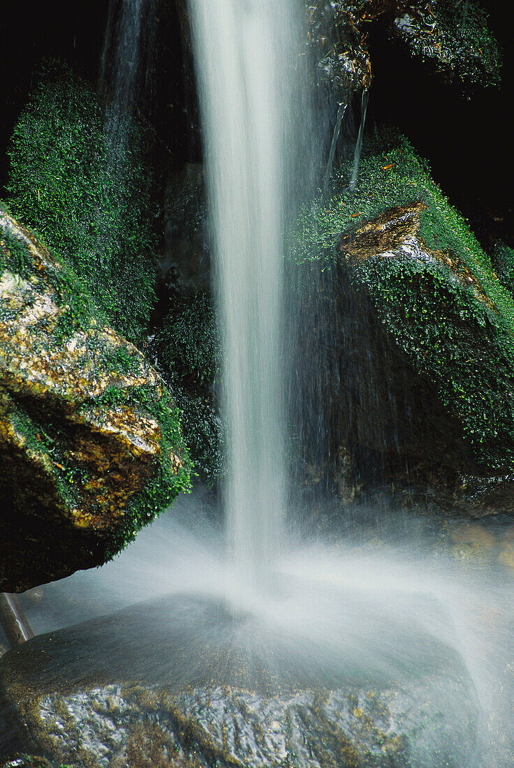 Small waterfall. Bavarian Forest National Park. Germany