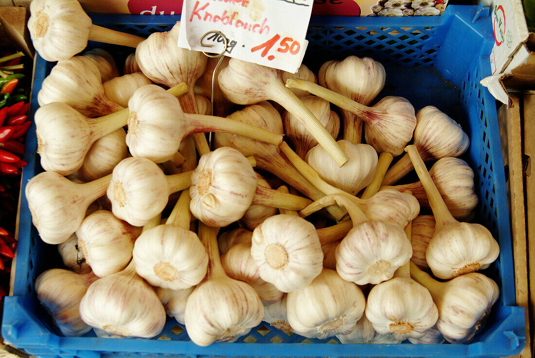 Garlic at Viktualienmarkt. Munich, Germany