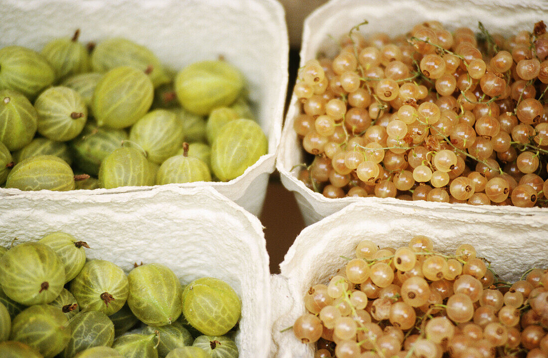 Gooseberries and whitecurrants on a market. Ratisboen. Bavaria, Germany