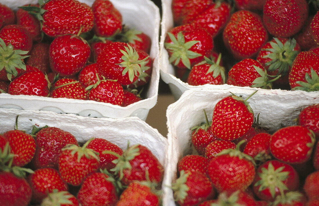 Strawberries on a market in Ratisboen. Bavaria, Germany