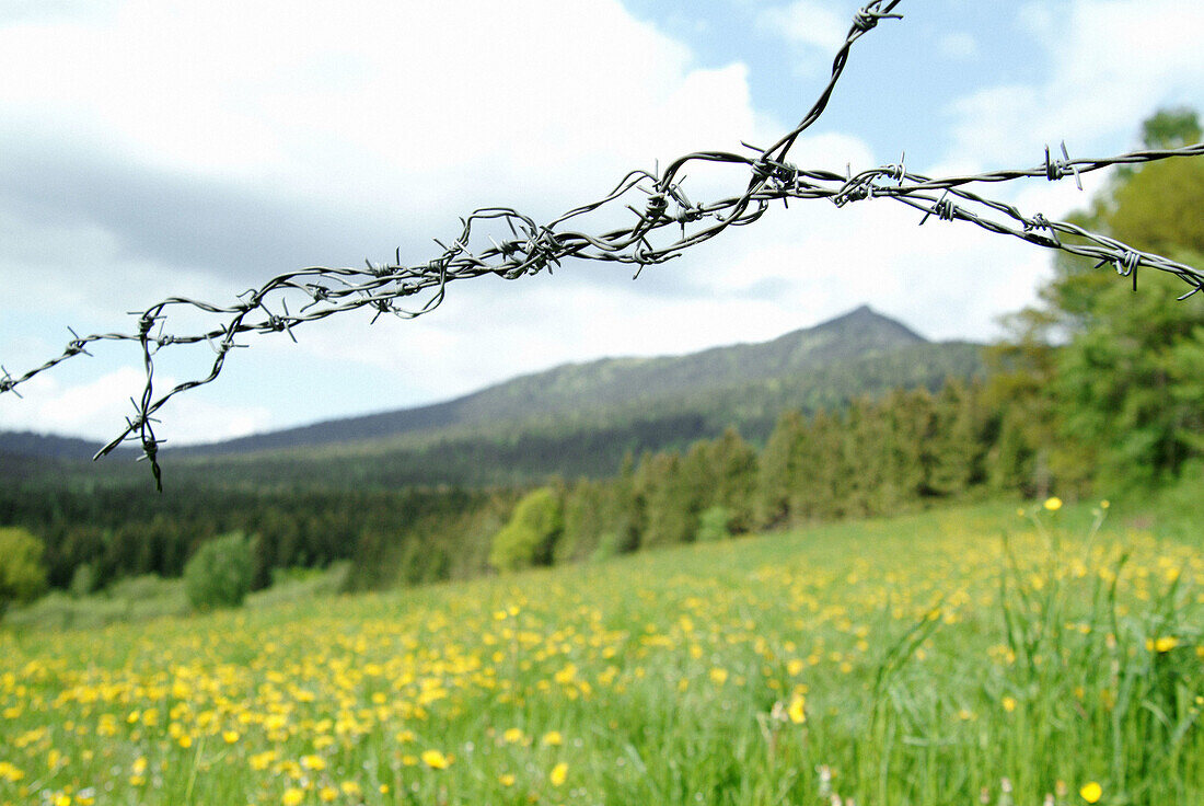 Meadow with barbed wire, in the background mount Osser. Lohberg. Upper Palatinate. Bavaria. Germany