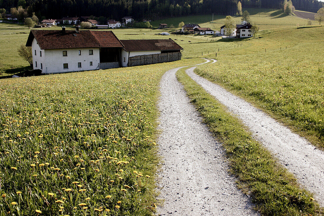 farm house, Zellertal, Bavarian Forest, Lower Bavaria (Niederbayern), Bavaria, Germany