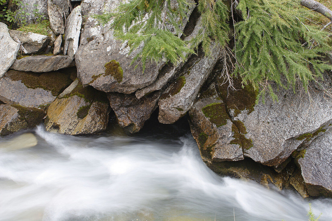 River Tauernbach, Tauerntal near Jamnig-Alm, Mallnitz, Hohe Tauern National Park, Alps, Kärnten/Carinthia, Austria