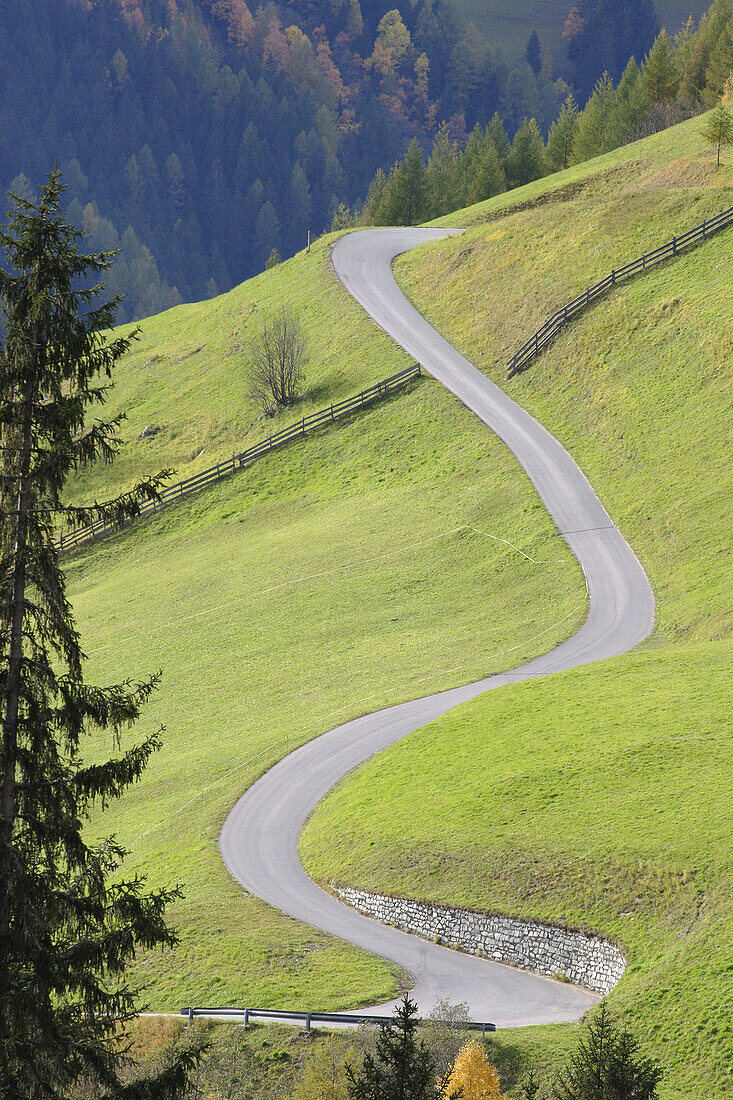 Road winding through alpine meadows, Zirknitztal, Alps, Carinthia, Austria