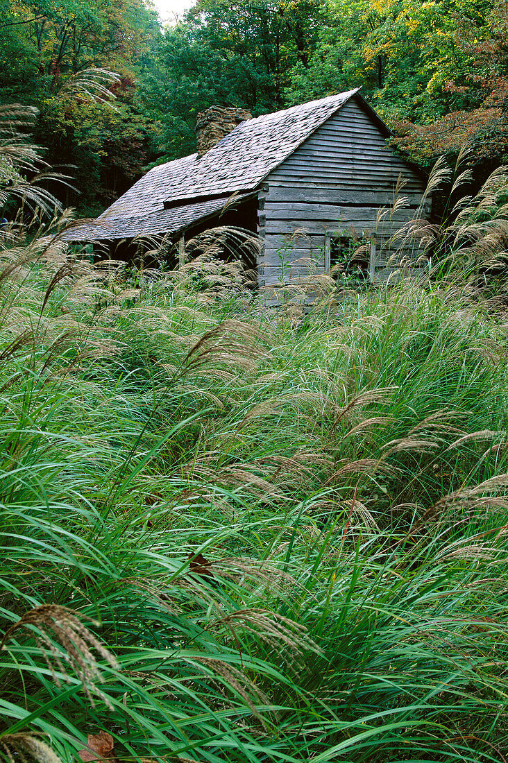 Bud Ogle Cabin. Great Smoky Mountains National Park. Tennessee. USA