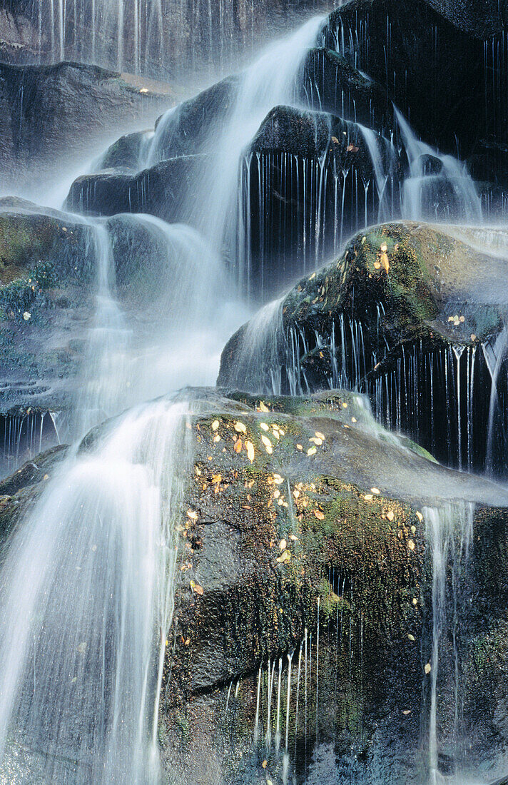 Ramsay Cascades. Great Smoky Mountains NP. Tennessee. USA