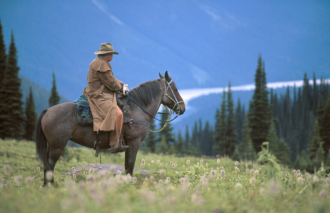 Cowboy in Caribou Mountains. British Columbia. Canada