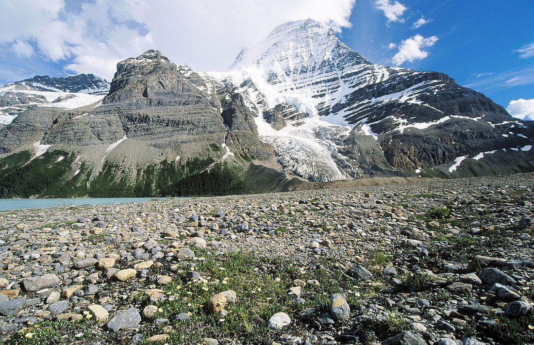 Berg Lake in Mount Robson Provincial Park. British Columbia. Canada