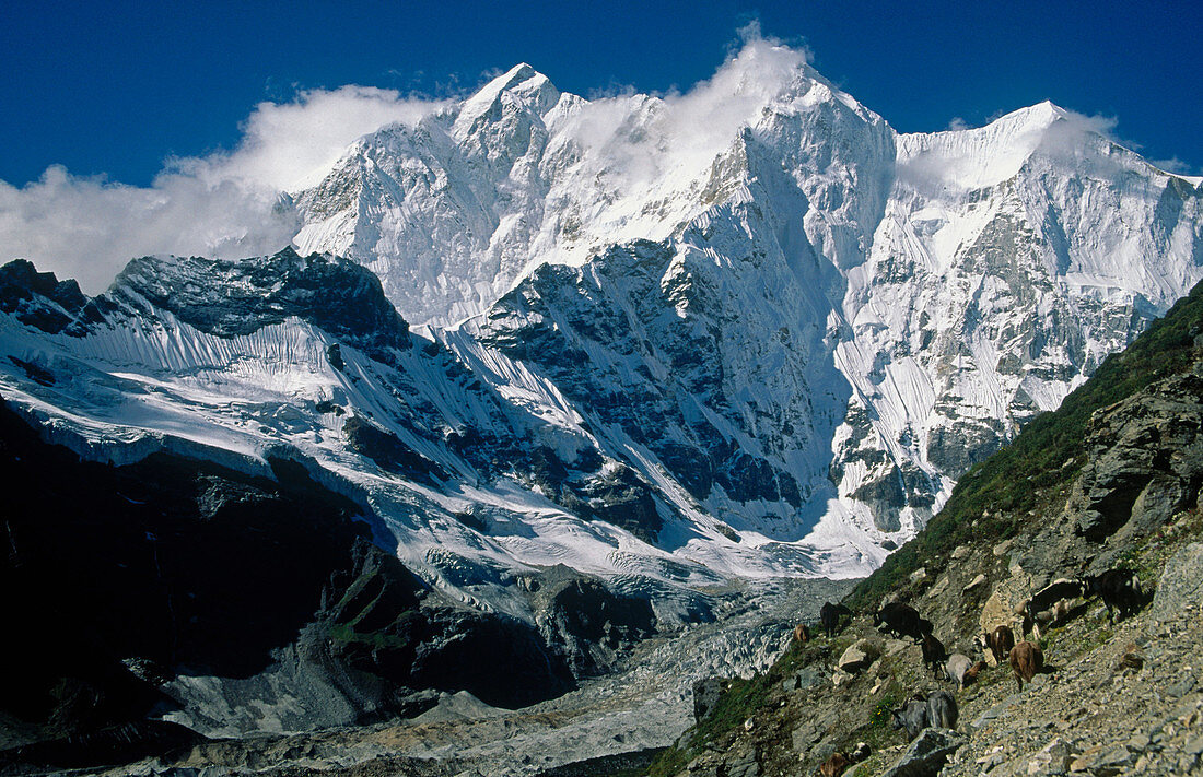 Kanshung Glacier, Chomolonzo peak. Himalayas. Tibet