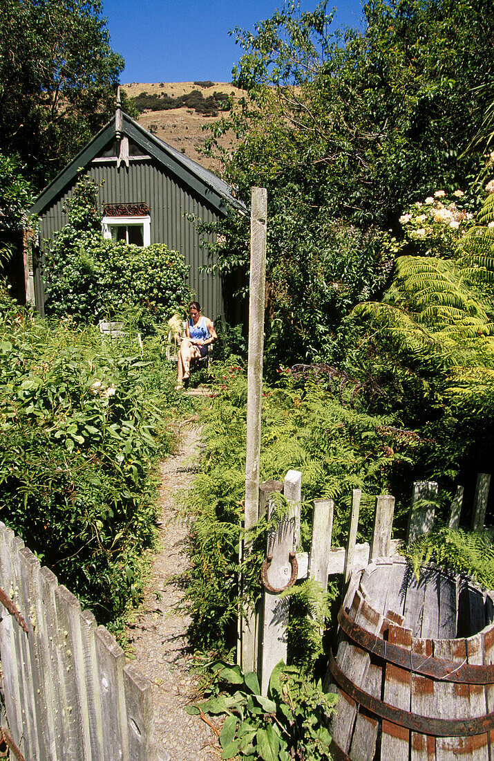 Walker relaxing in a cottage garden. Stony Bay. Banks Peninsula walkaway. Canterbury. New Zealand