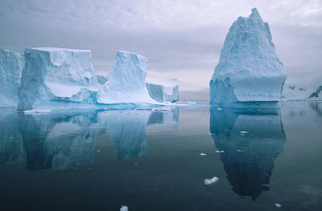 Iceberg in reflection. Andvoord Bay. Antarctic Peninsula. Antartica