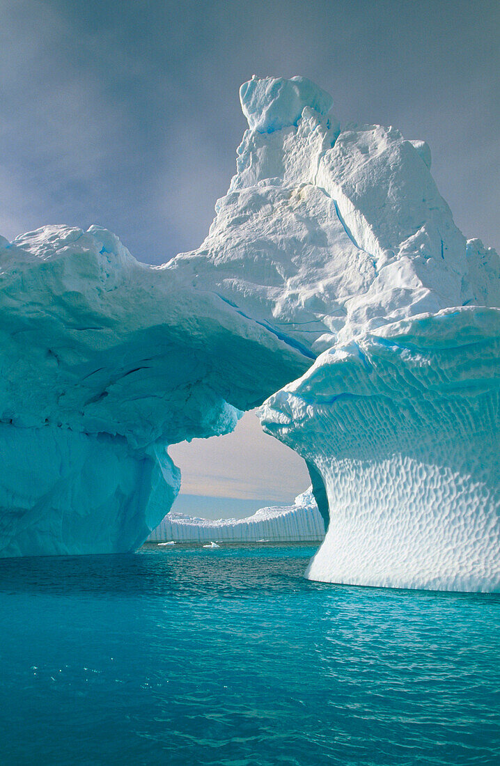 Iceberg in Andvord Bay. Antartica