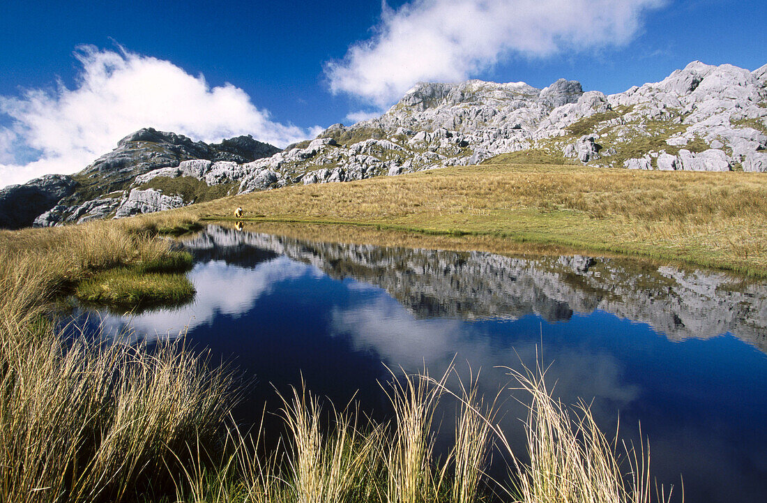 Tramper beside tarn on Mt. Owen. Eroded limestone landscape. Kahurangi NP. New Zealand