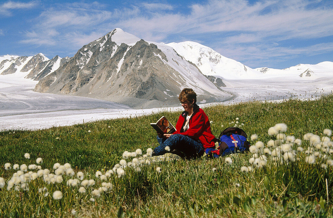 Reading among bog cotton flower-filled terrace beside glacier, Tavan Bogd Uul base camp. Altai mountains, Western Mongolia
