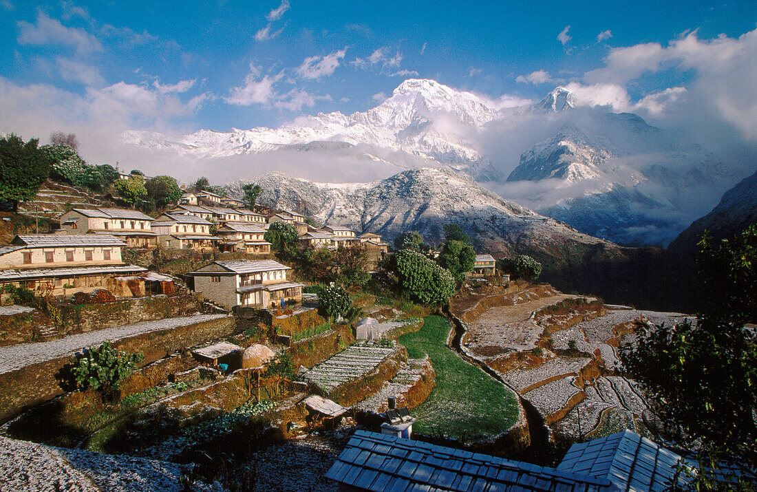 Annappurna South (7.219 m.) and Ghandrung village after winter snowfall. Himalayas. Nepal