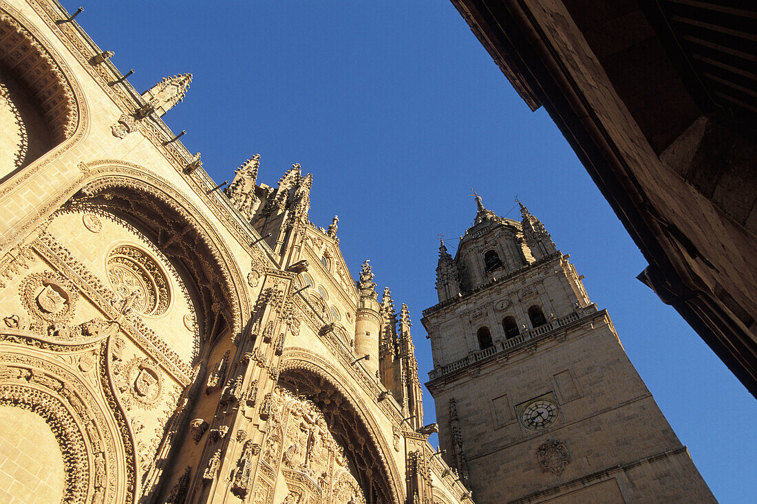 West facade (Isabeline style, 16th century) of Catedral Nueva ( new cathedral ). Salamanca. Spain