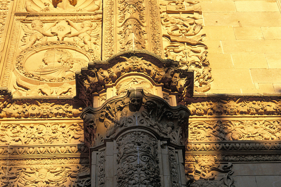 Column detail of University building. Salamanca. Spain