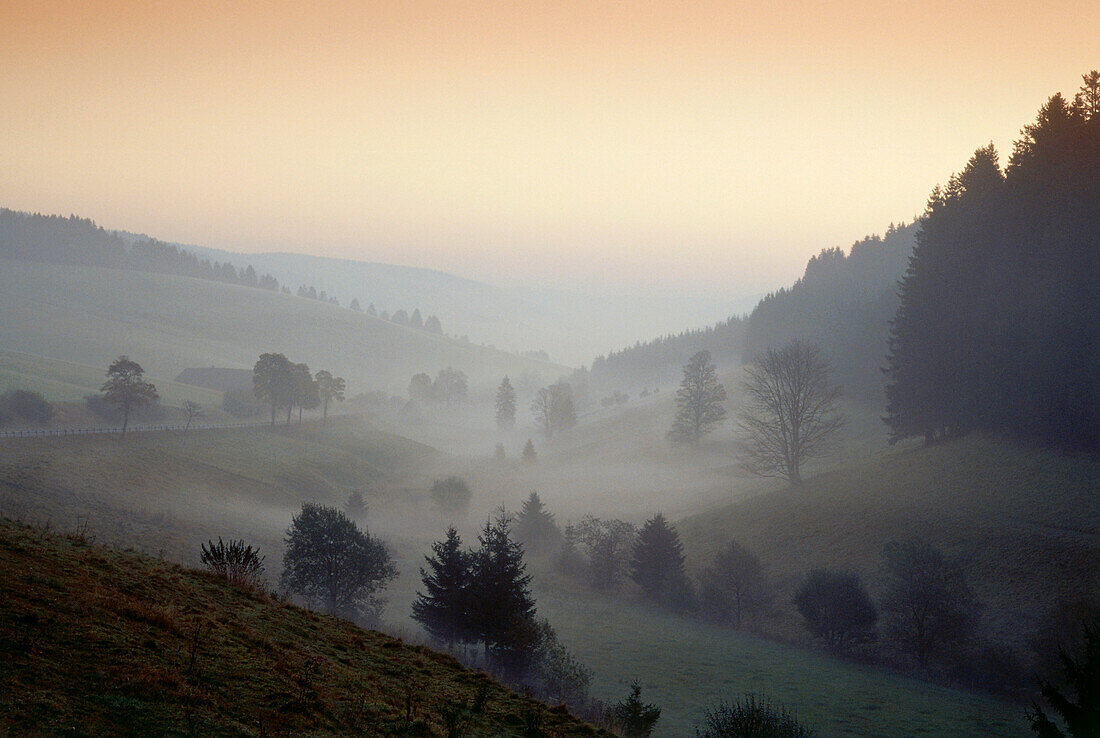 Morgennebel bei Urach, Schwarzwald, Baden-Württemberg, Deutschland