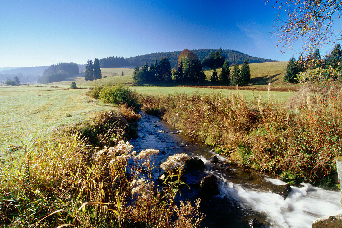 Josbach fließt durch Jostal, Schwarzwald, Baden-Württemberg, Deutschland