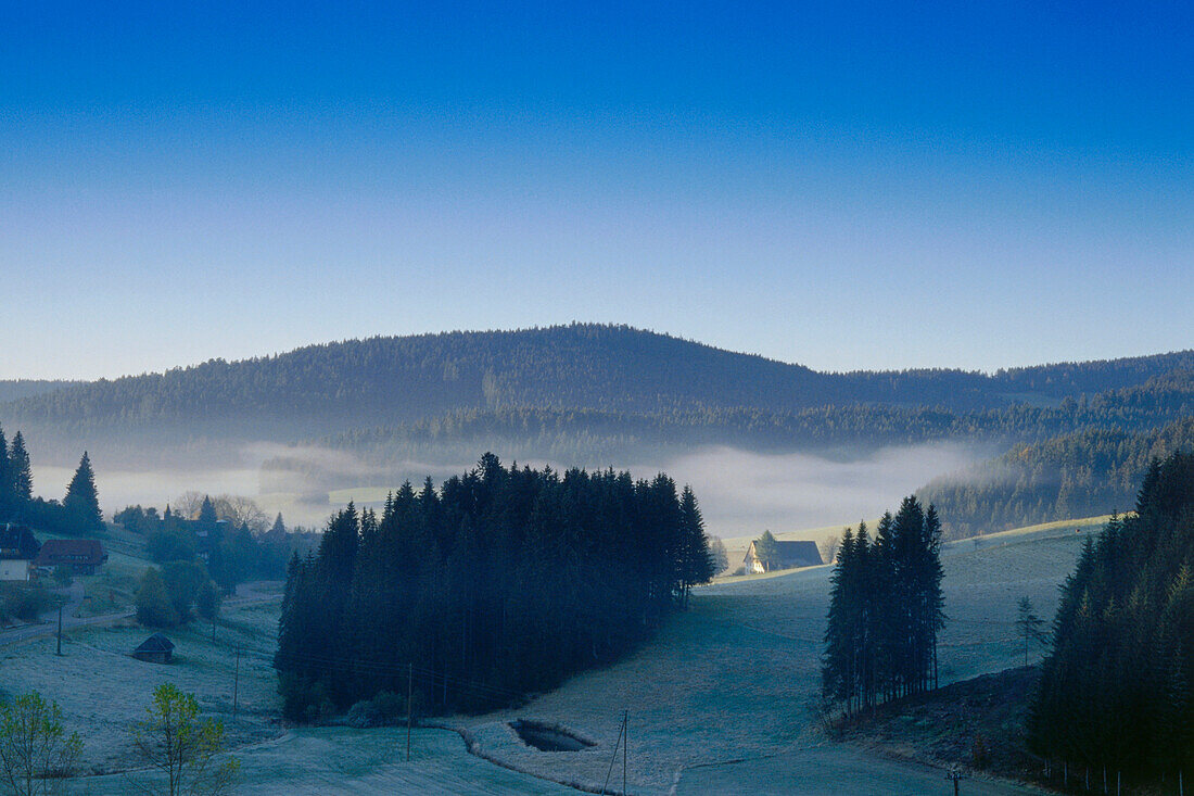 Morgennebel im Jostal, Schwarzwald, Baden-Württemberg, Deutschland