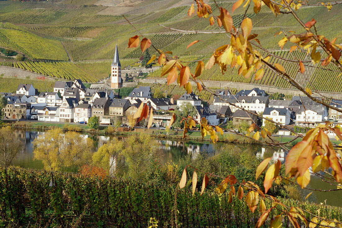 View over river Moselle to Merl with vineyard, Zell, Rhineland-Palatinate, Germany