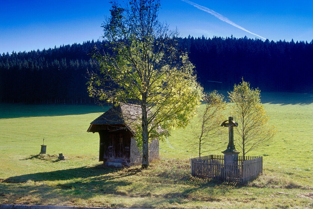 Chapel and wayside cross, Schildwende, Black Forest, Baden-Wurttemberg, Germany