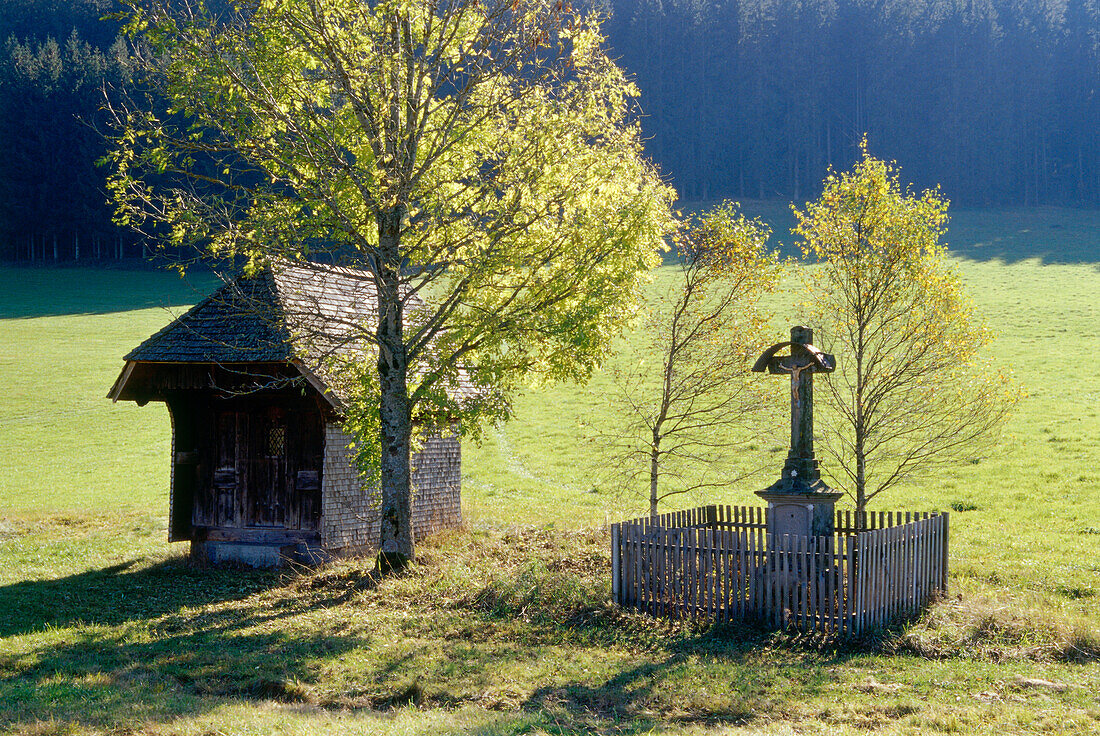 Chapel and wayside cross, Schildwende, Black Forest, Baden-Wurttemberg, Germany