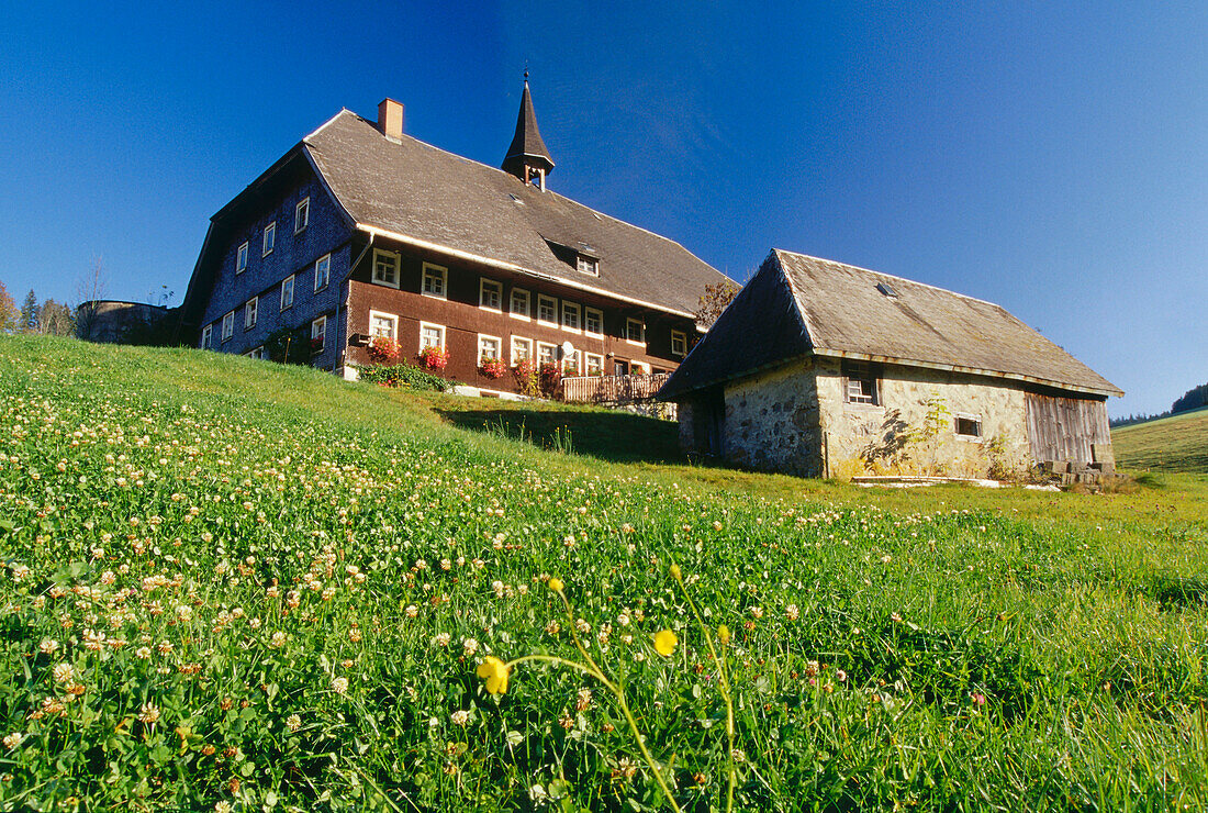 Farm near Furtwangen, Black Forest, Baden-Wurttemberg, Germany