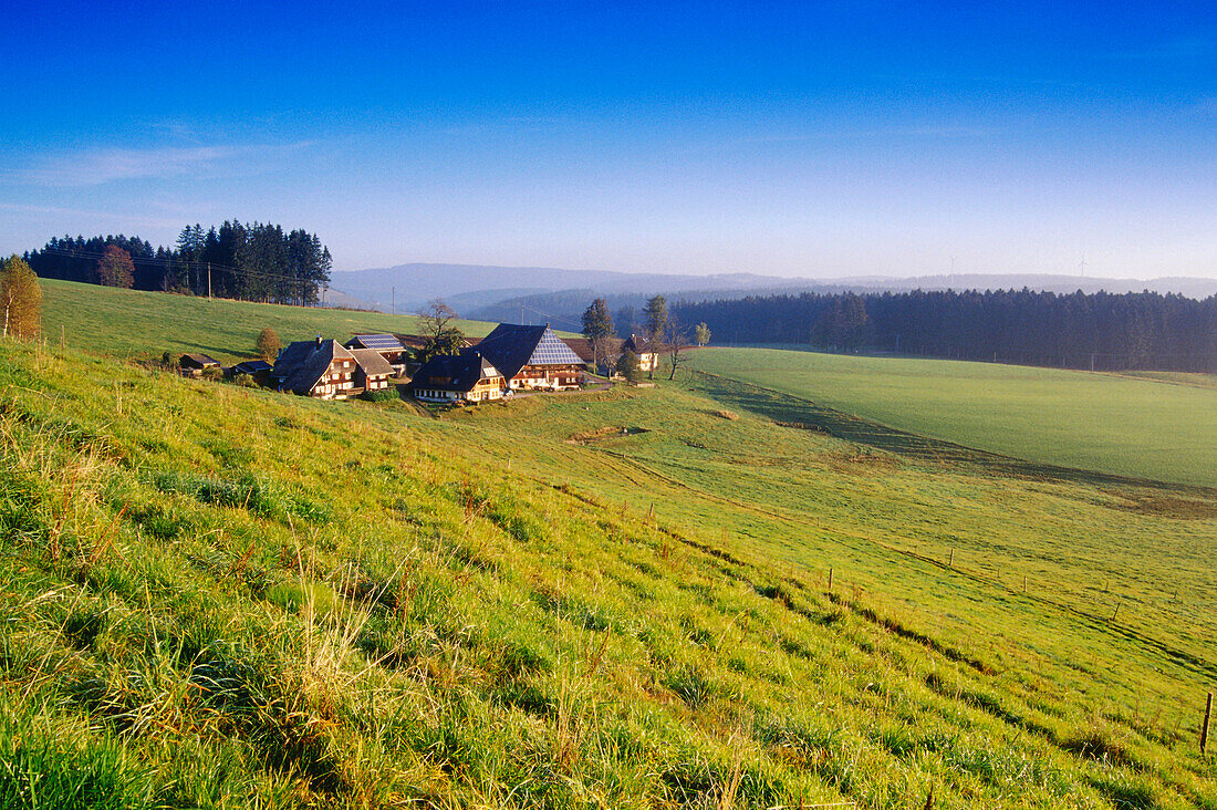 Farm near Furtwangen, Black Forest, Baden-Wurttemberg, Germany