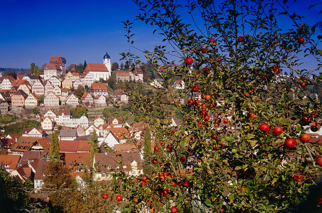 View to Altensteig, Black Forest, Baden-Wurttemberg, Germany