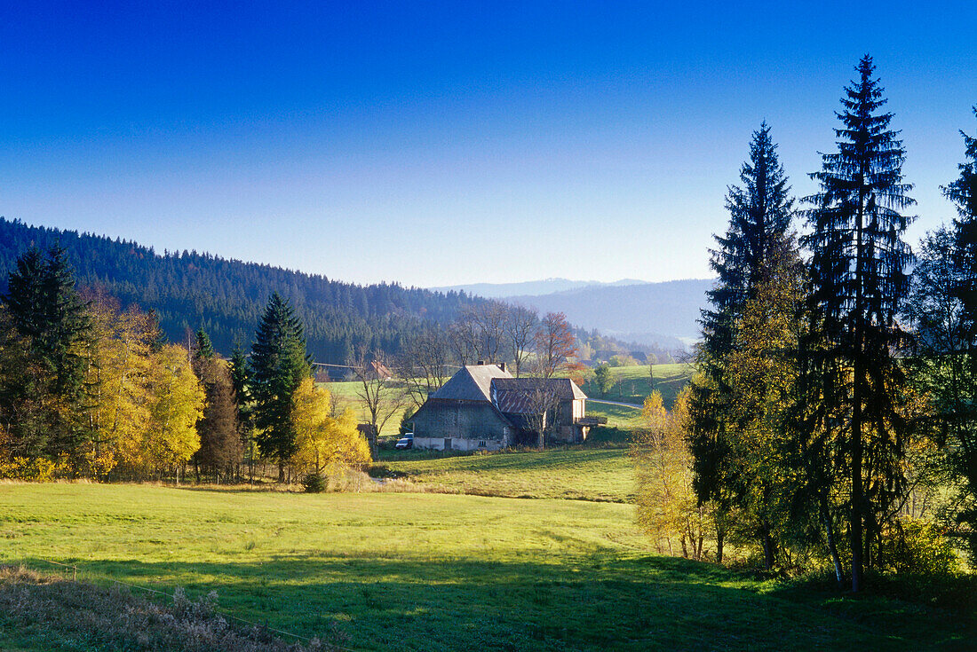 Farm near Breitnau, Black Forest, Baden-Wurttemberg, Germany