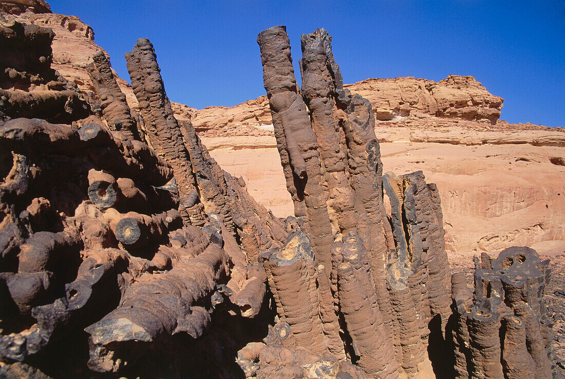 Säulenwald in Vulkanismus Gebirgswüste, Sinai, Ägypten, Afrika