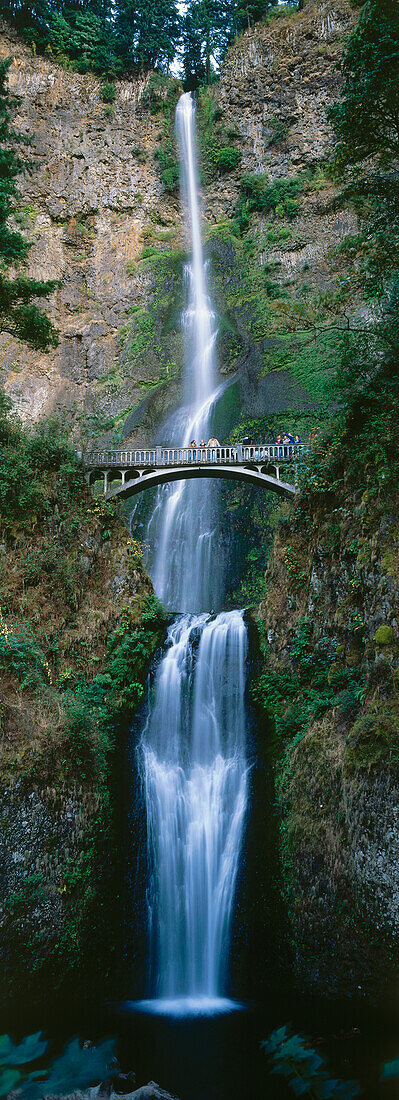 Wasserfall, Multnomah Falls, Columbia River Gorge, Oregon, USA