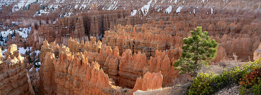 Bryce Amphitheater, Bryce Canyon Nationalpark, Utah, USA