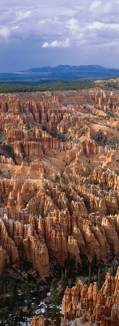 Panorama des Bryce Amphitheater, Bryce Canyon Nationalpark, Utah, USA