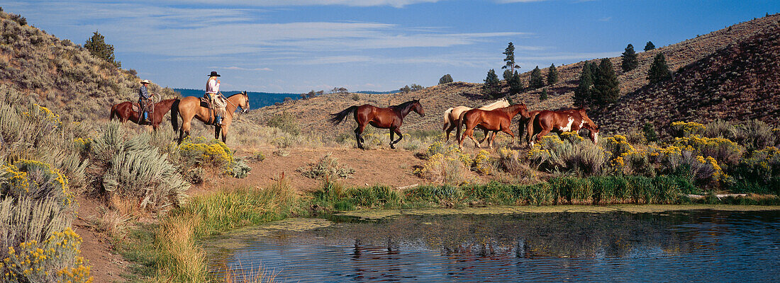 Cowboys on horseback in the Wild West, Oregon, USA