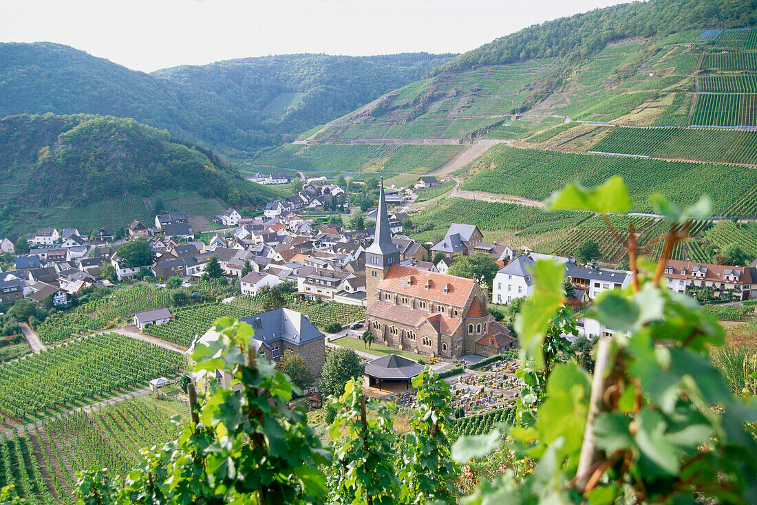 Wine village Mayschoss, Ahr, Rhineland-Palatinate, Germany