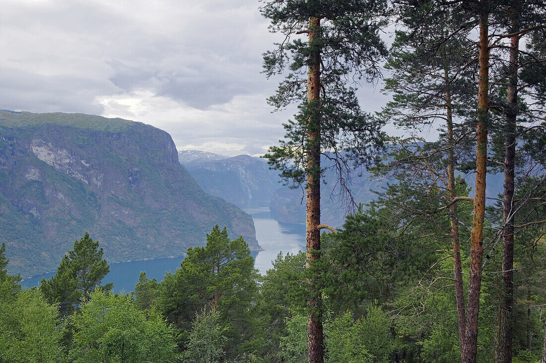 Aurlandsfjorden, fjord in Sogn og Fjordane, Norway.