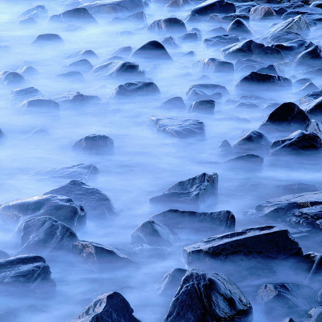 Rocks on the coast. Kattegatt Sea. Skåne. Sweden. Scandinavia