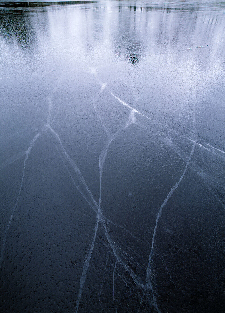 Cracks and reflections of trees in ice on lake. Hallandsåsen Ridge, Skåne, Sweden, Scandinavia, Europe.