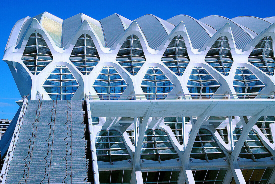 City of Arts and Sciences, by S. Calatrava. Valencia. Spain