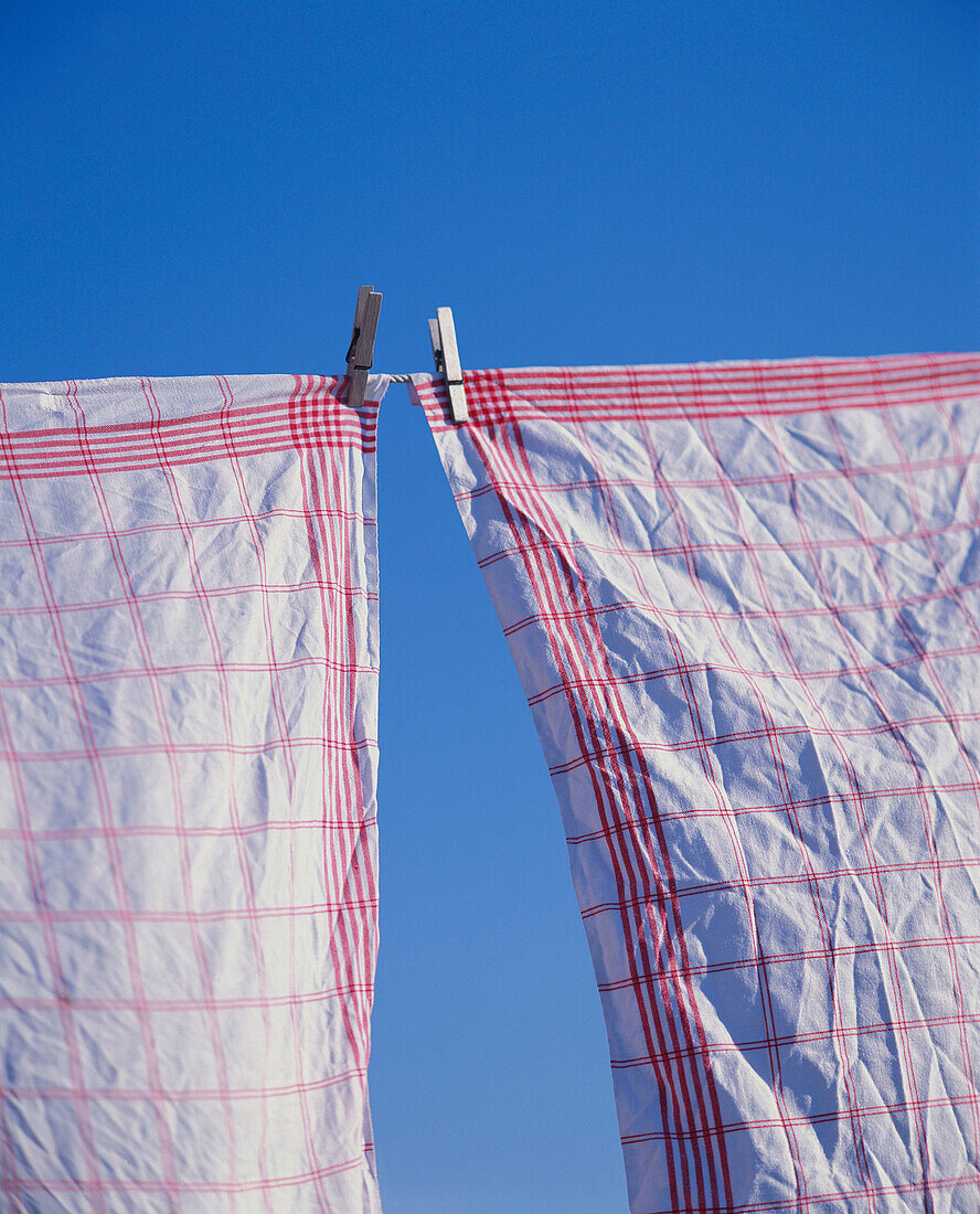 Kitchen towels hanging from clothesline