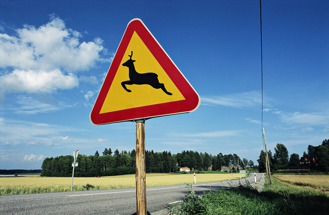 Deer crossing sign. Sweden.