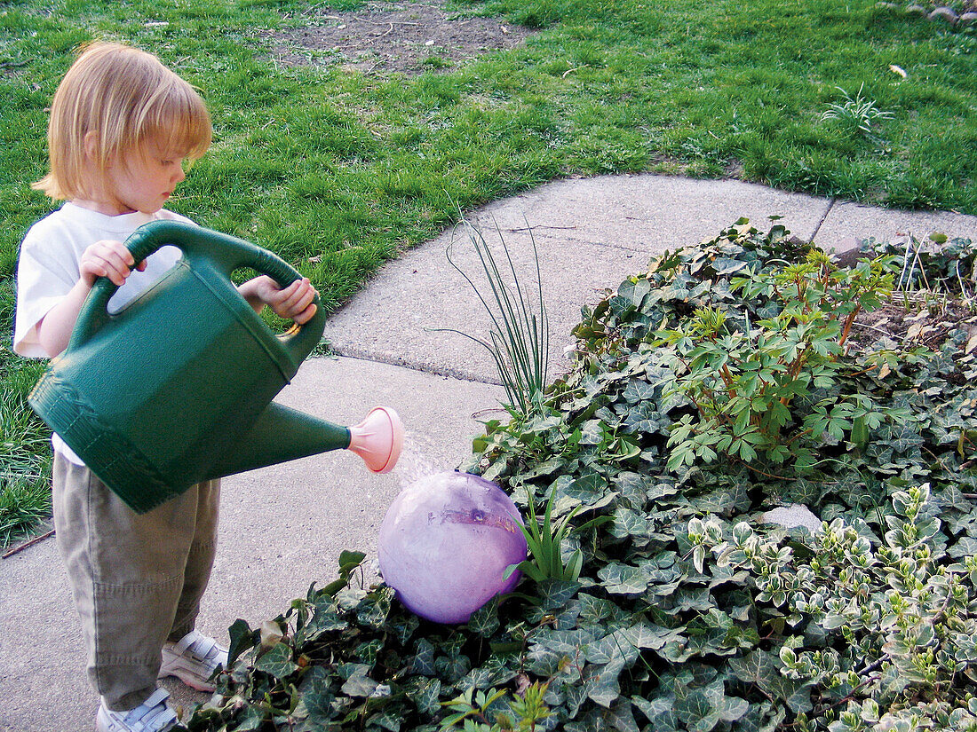 A two year old girl carefully waters her purple ball at her home. Windsor. Ontario, Canada