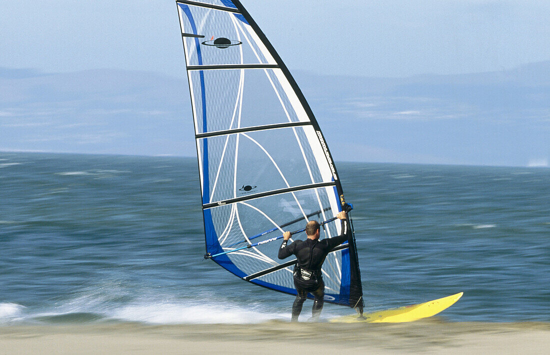 Windsurfer.