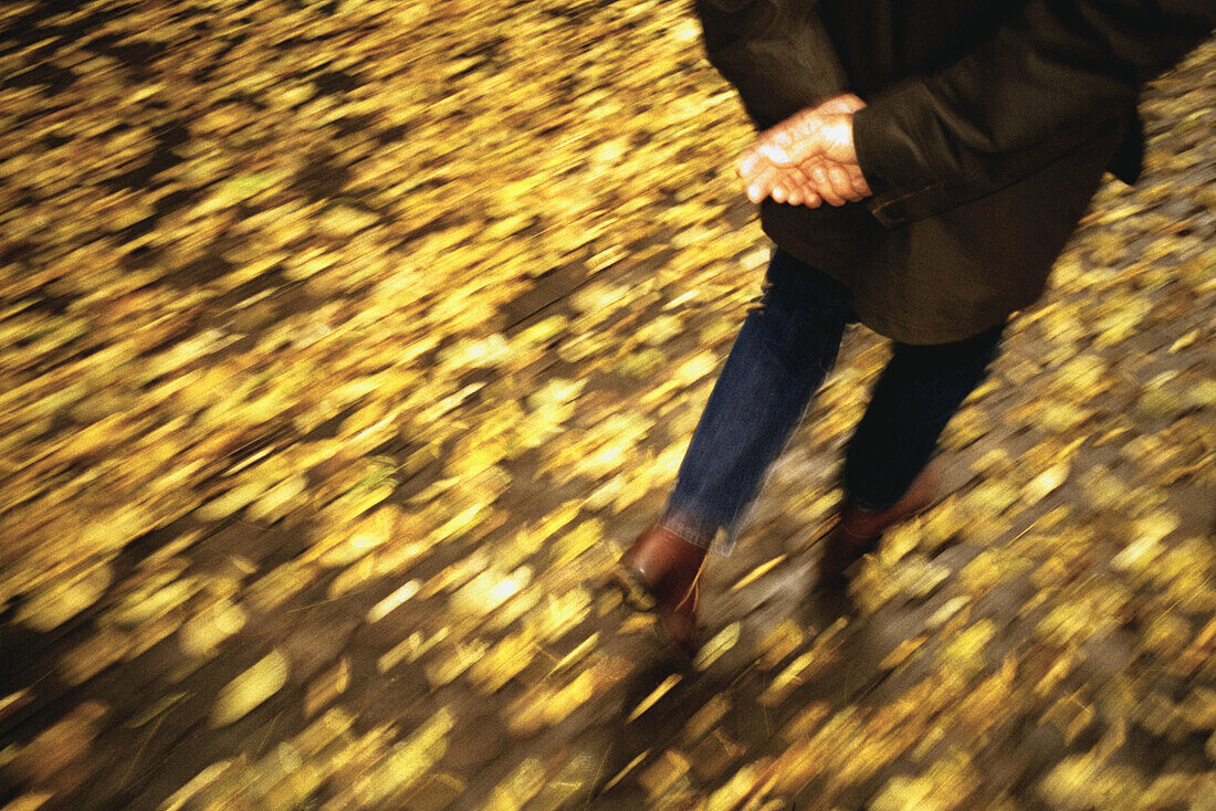  Activity, Adult, Adults, Anonymous, Autumn, Autumnal, Back view, Blurred, Color, Colour, Contemporary, Daytime, Exterior, Fall, Fallen leaves, Ground, Grounds, Human, Male, Man, Medium-shot, Men, Men only, Motion, Movement, Moving, One, One person, Outdo