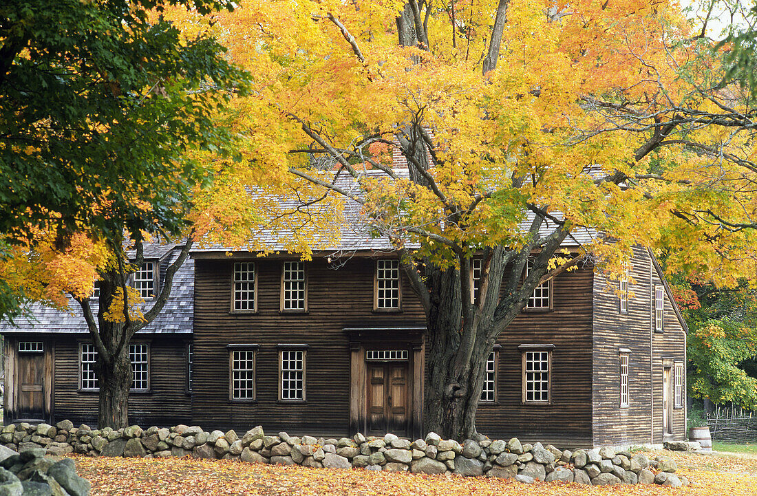 Hartwell tavern, Bedford, Massachusetts autumn national park maple tree. USA.