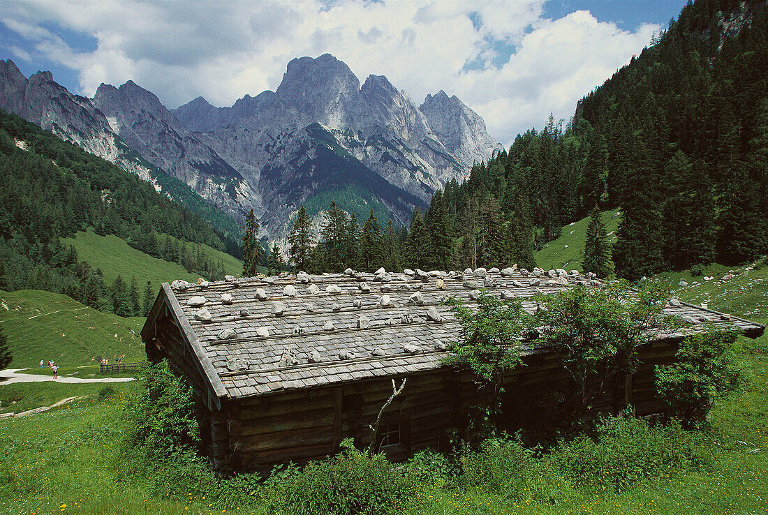 Mühlsturzhorn. Bindalm. Berchtesgaden. Berchtesgadener Alpen National Park. Bavaria. Germany