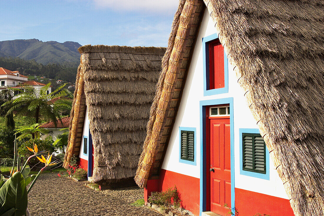 Casas de Colmo in Santana, traditional Madeira styled thatched house. Madeira Island. Portugal
