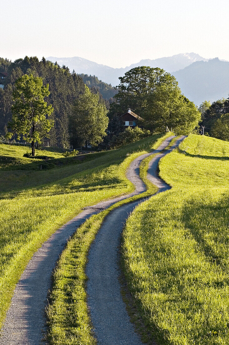 Field path. Allgäu. Bavaria. Germany